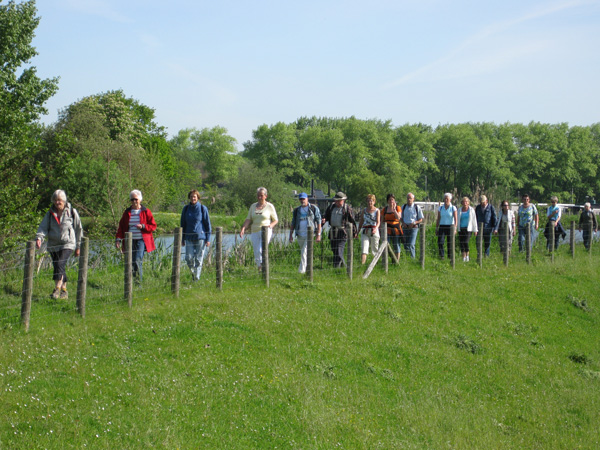 Wandelen